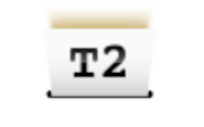 T2