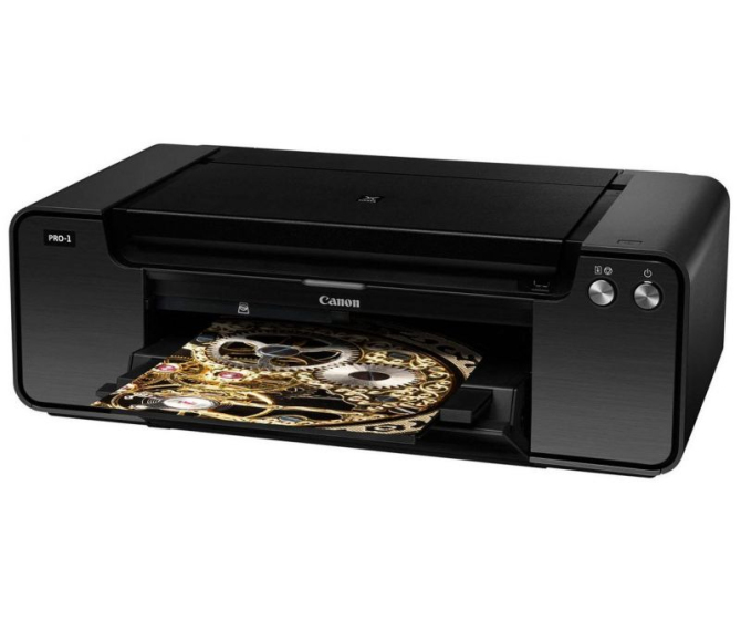 Canon PIXMA PRO-1 - фото №1
