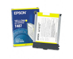 Epson C13T487011