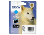Epson C13T09624010