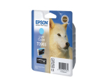 Epson C13T09654010
