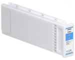 Epson C13T800200