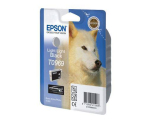 Epson C13T09694010