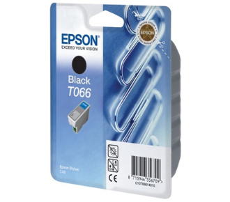 Epson T066140 - фото №1