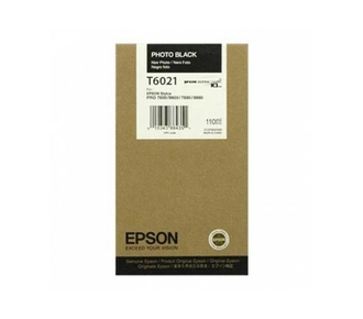 Картридж Epson Singlepack Photo Black T602100 - фото №1