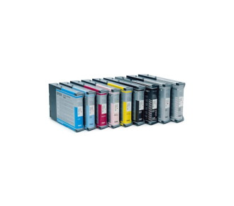 Картридж Epson Singlepack Light Light Black T602900 - фото №1