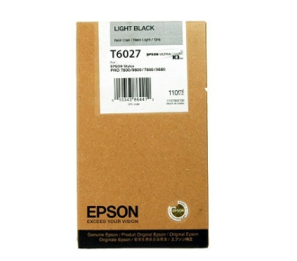 Картридж Epson Singlepack Light Black T602700 - фото №1