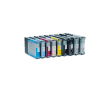 Картридж Epson Singlepack Light Light Black T602900 - фото 1