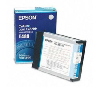 Epson C13T489011