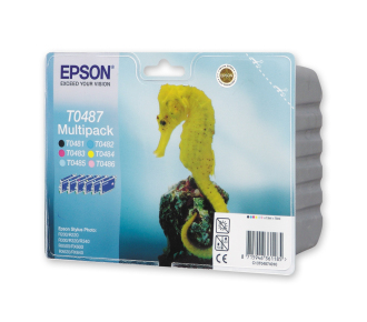 Epson C13T04874010