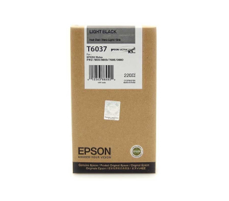 Epson C13T603700