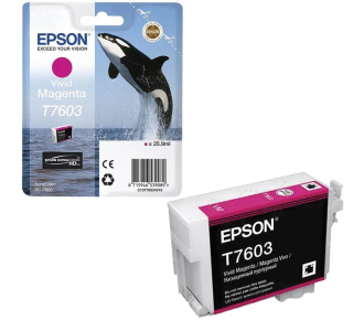 Epson C13T76034010
